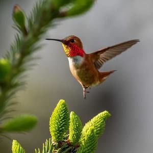 Meet your Posher, Debra